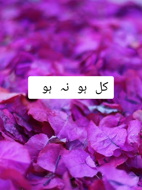 @عکس تحریر