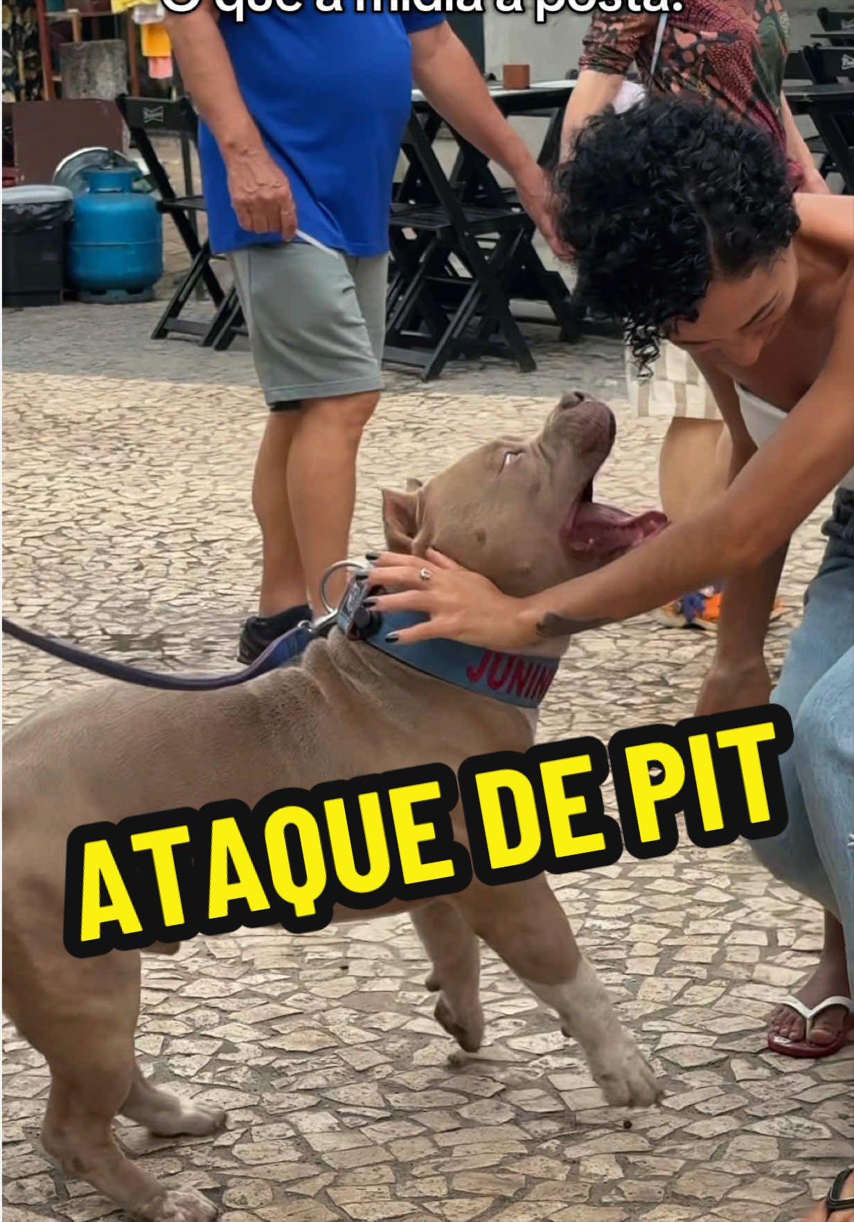 @Família Ragnar 🐶
