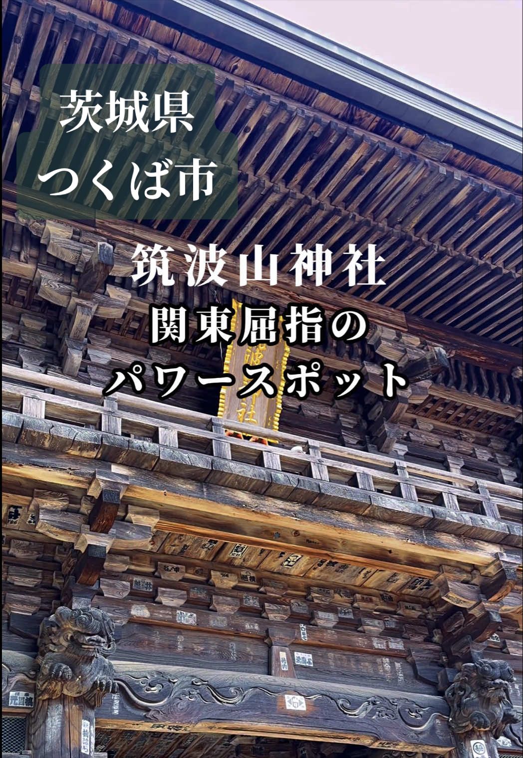 @善エイト(善トラベラー)