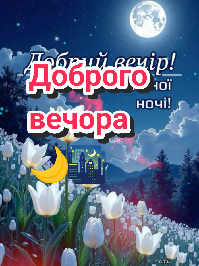 @🌹 𝐋𝐚𝐫𝐢𝐬𝐚 🌹