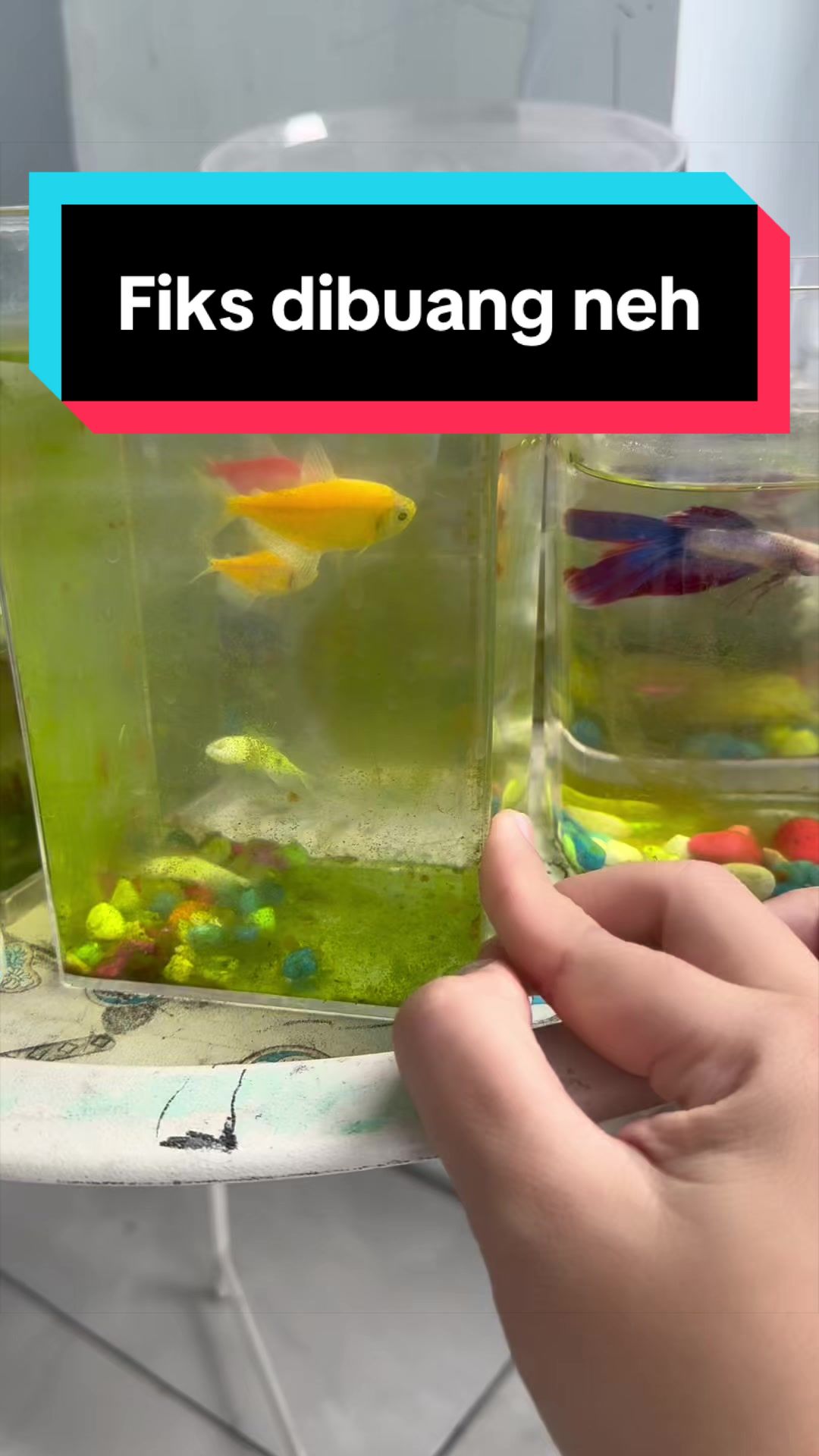 @Aquarium_group