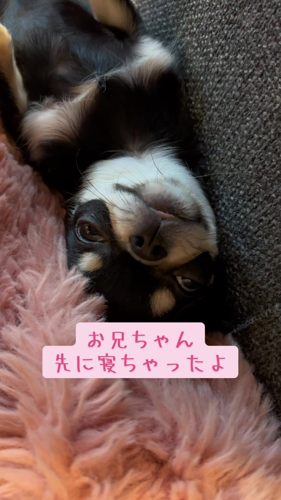 @ちぃちゃん🪽🎀
