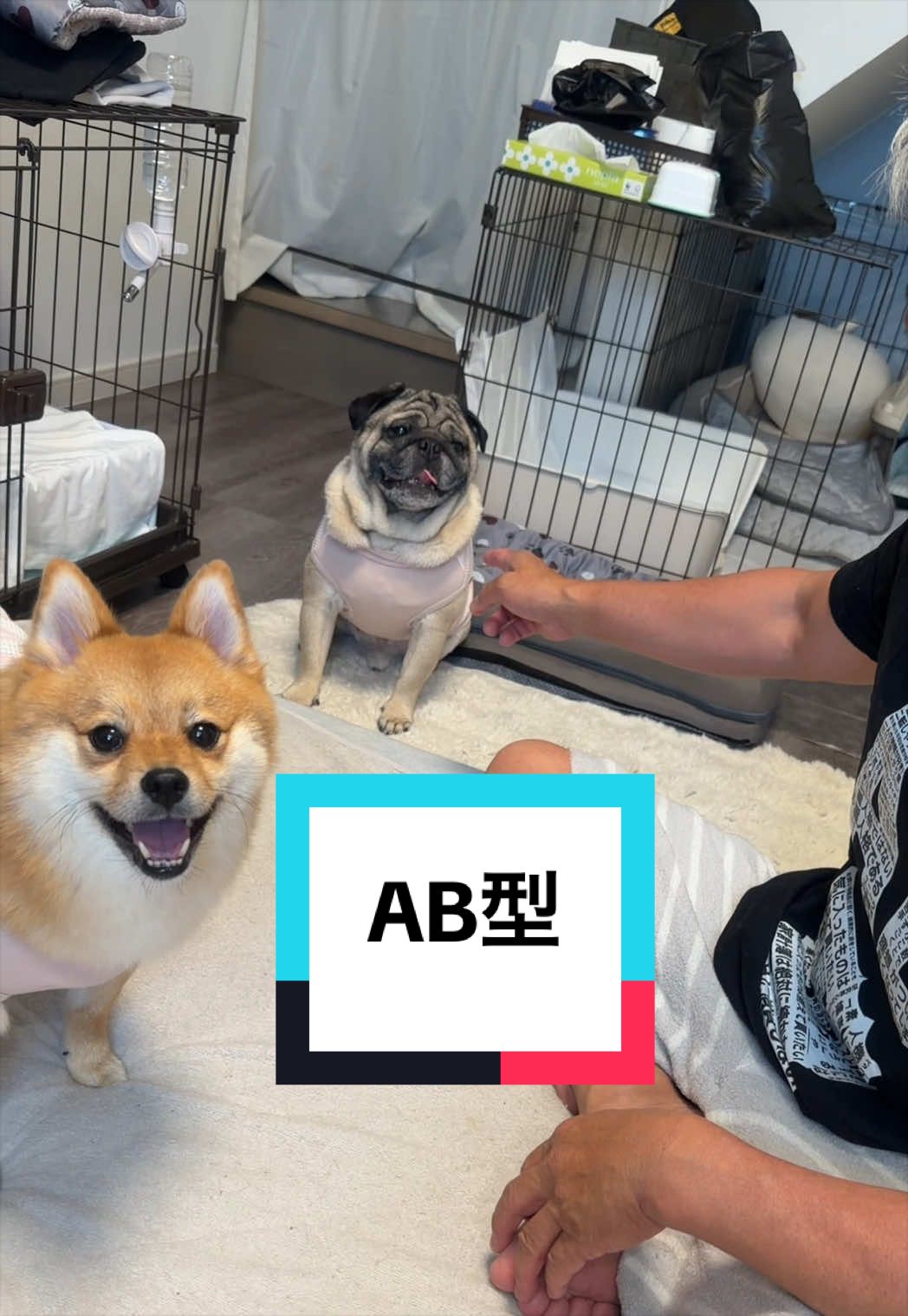 @🐶とん&ぺっぺこぺー🦊