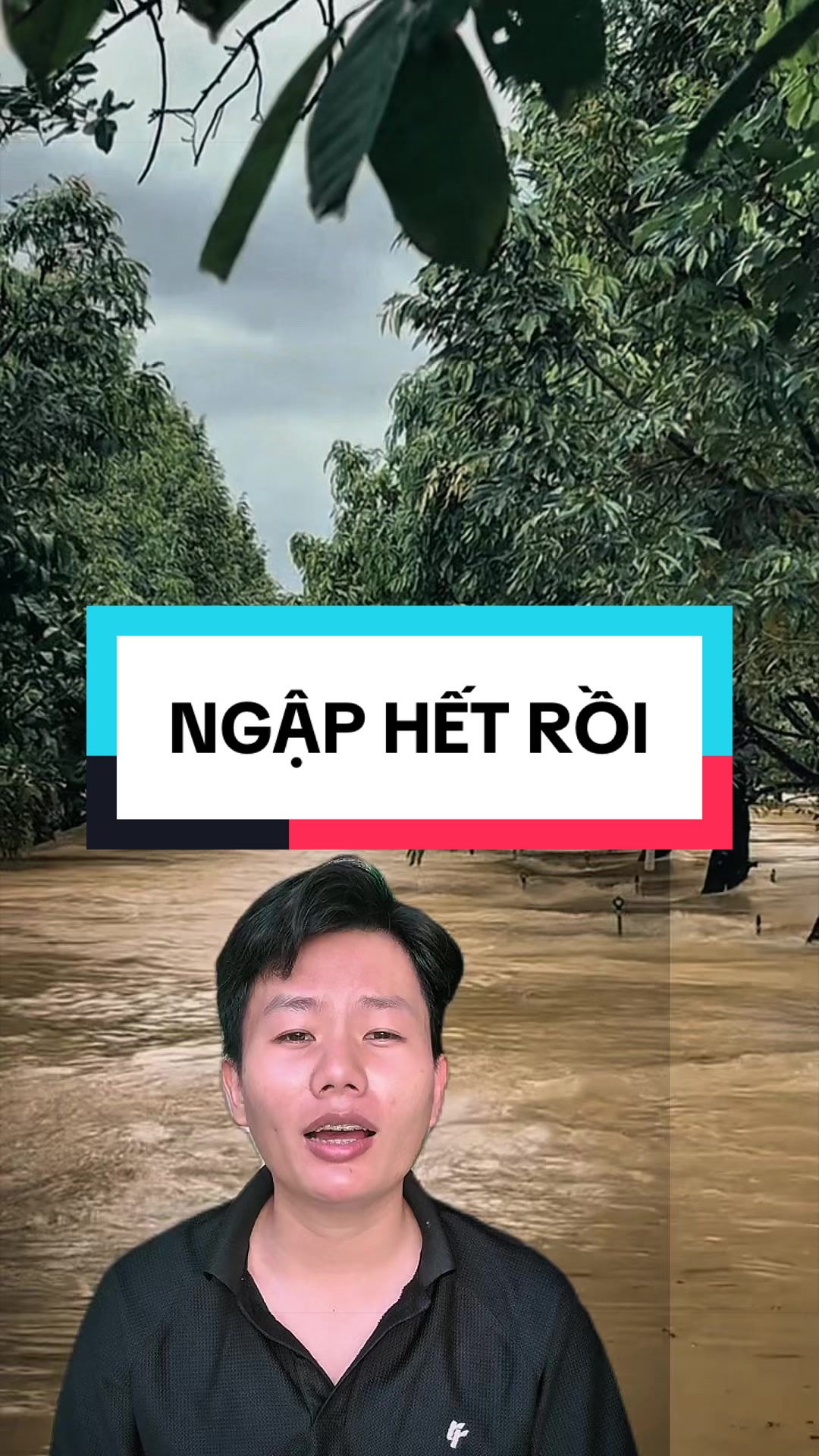 @Hộ Kinh Doanh H&agrave;o - Hưng