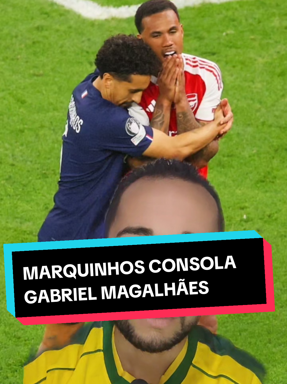 @analistaleigo