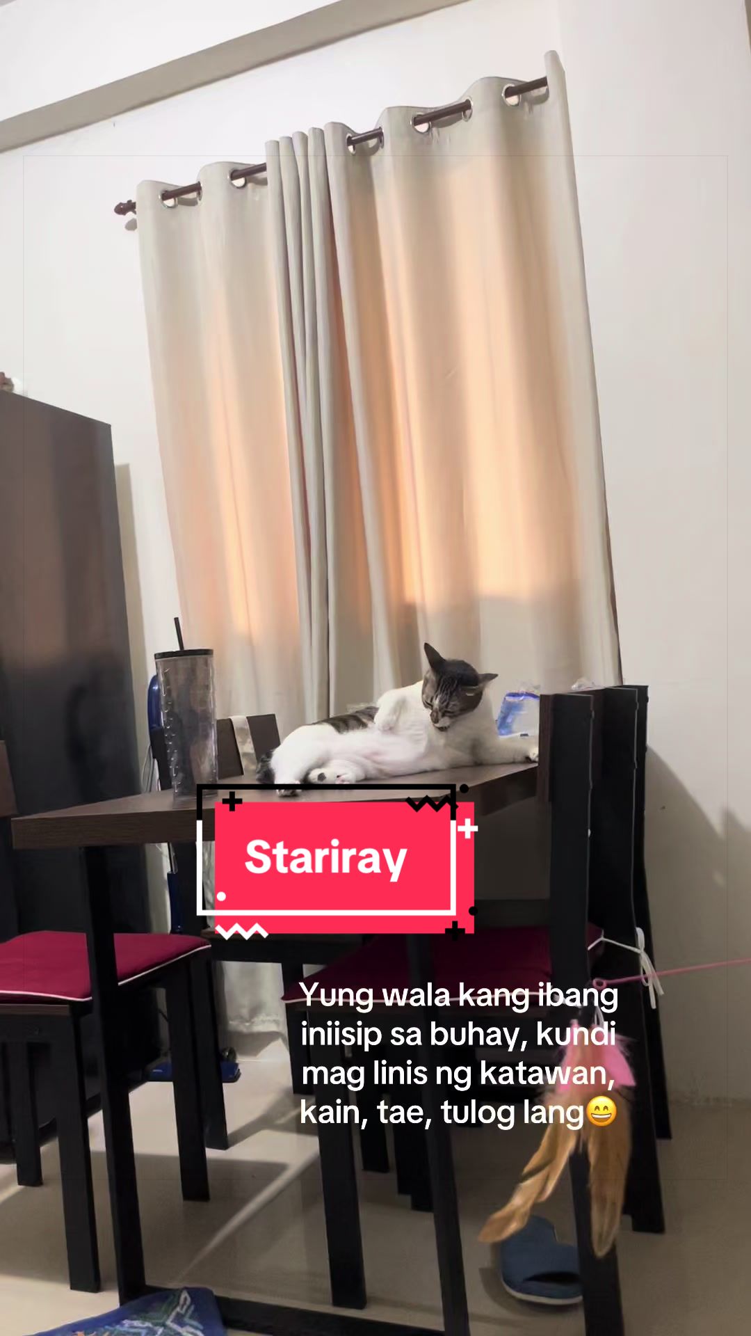 @Asta