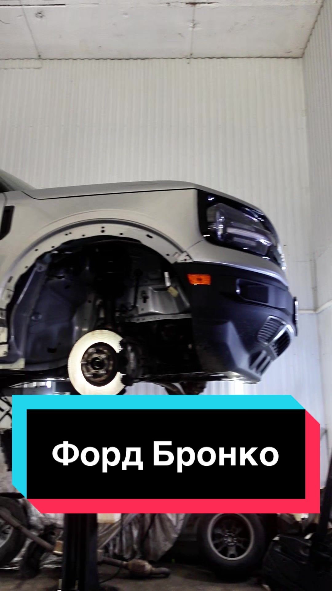 @Пегас-авто Витебск
