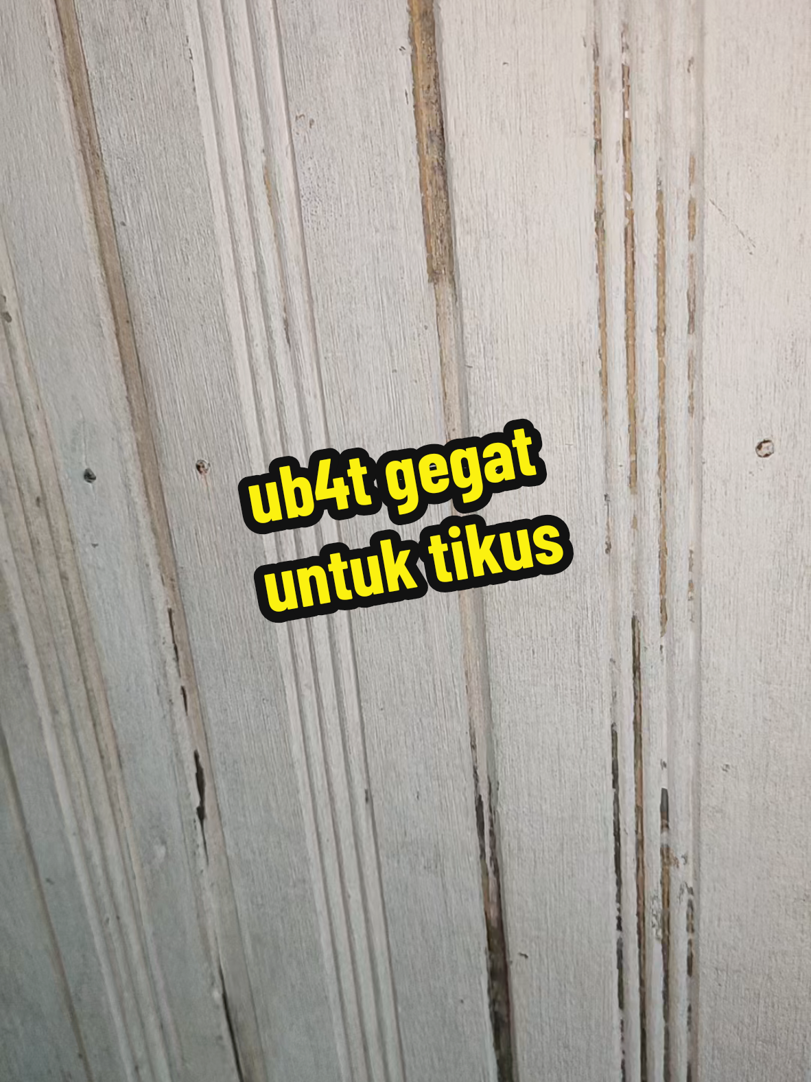 @Naasyahira ๐๏ธ