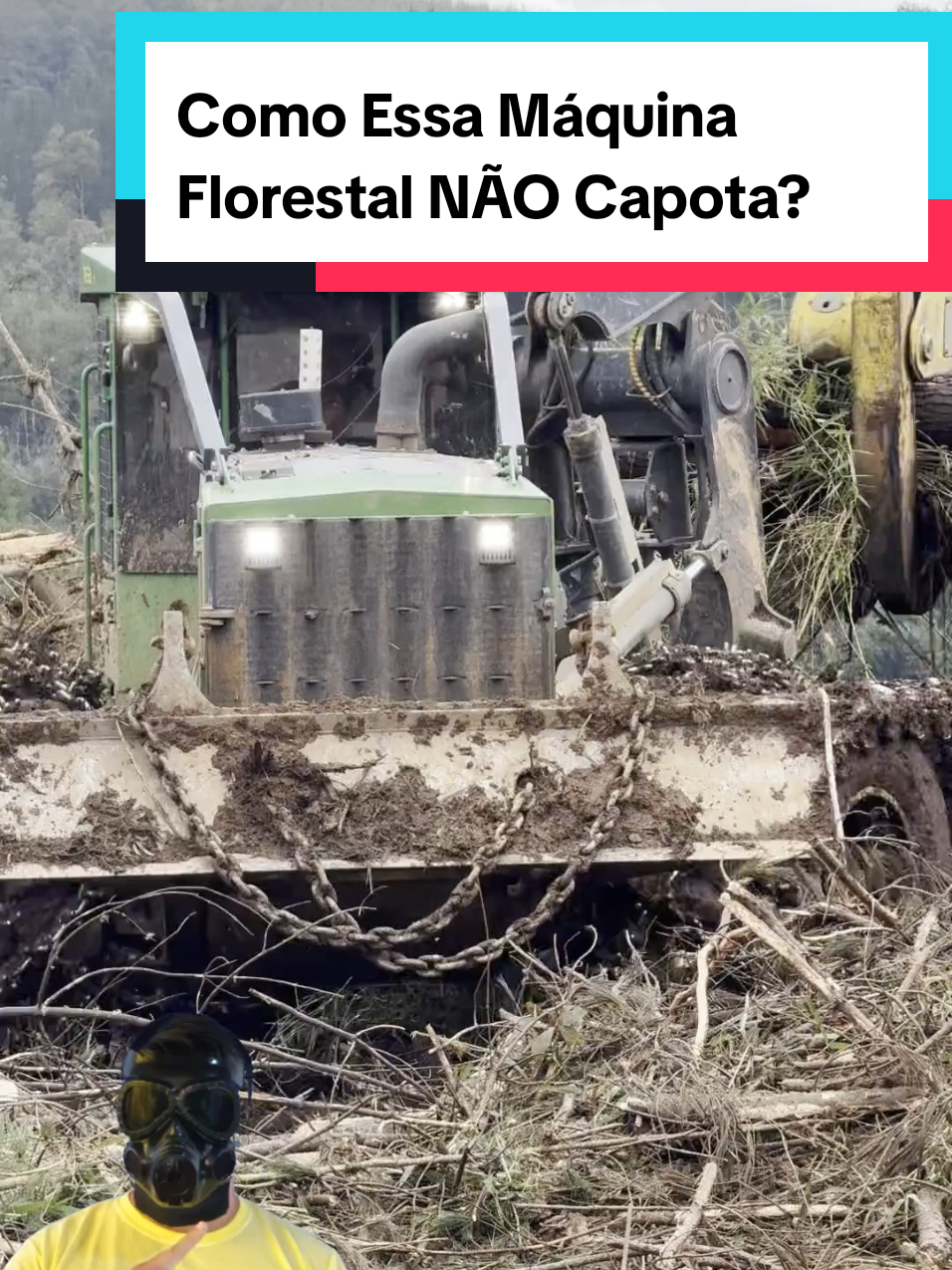 @Mundo da Curiosidades