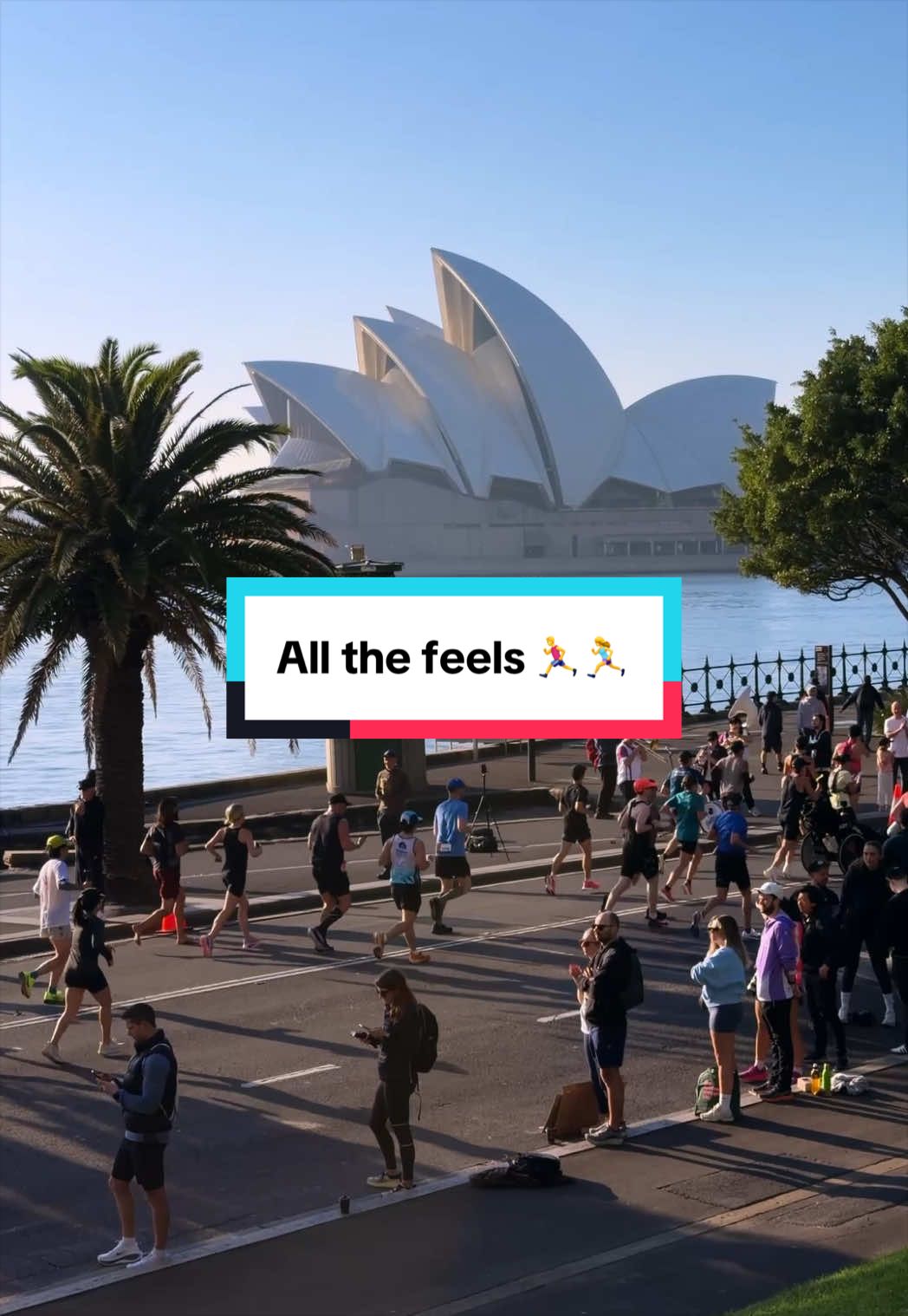 @Sydney