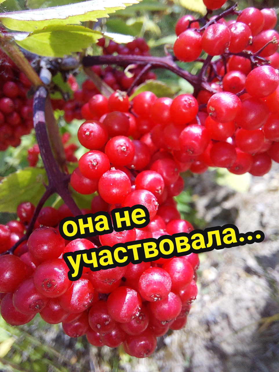@Рыся✔️🇧🇾