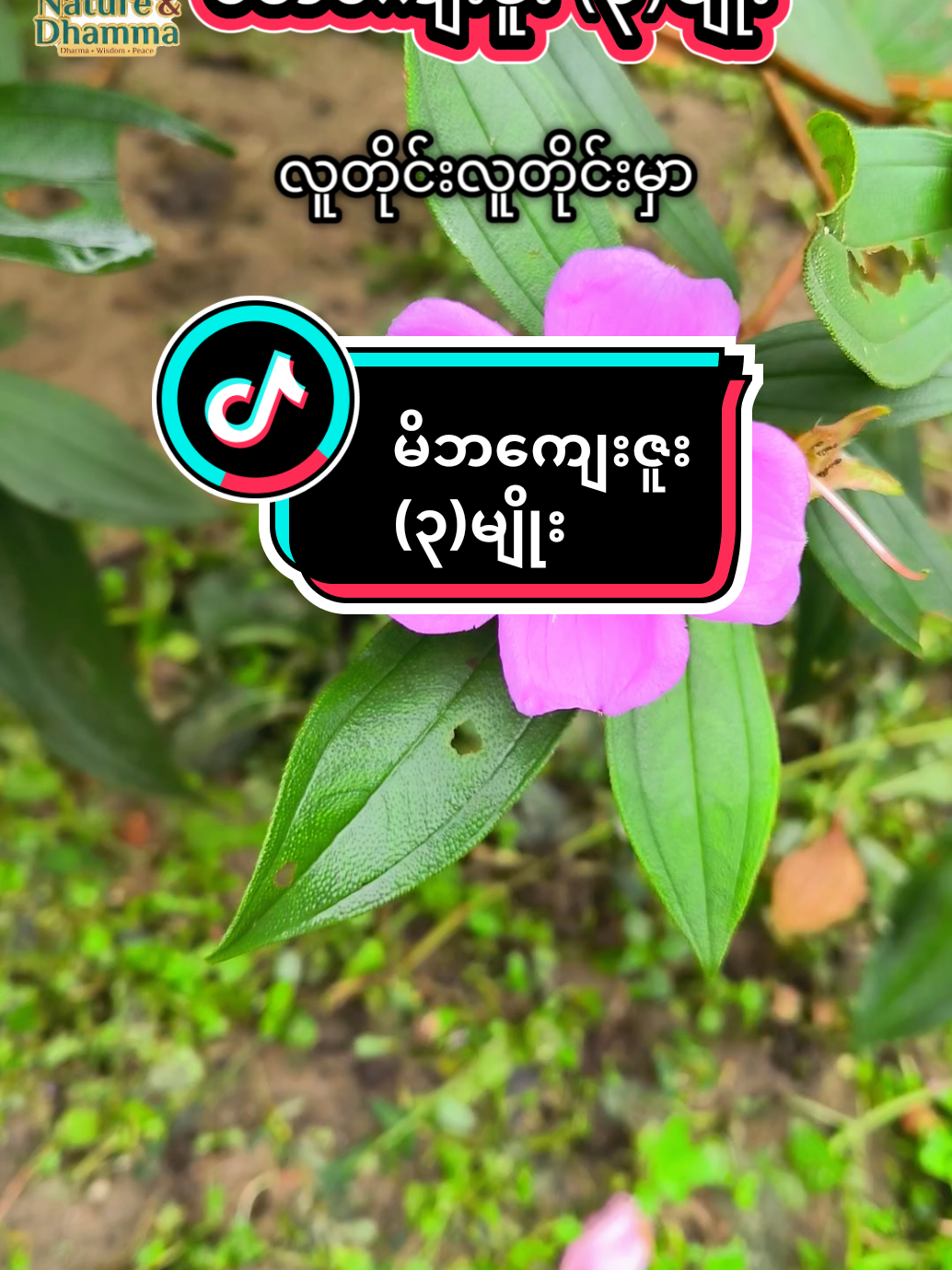 @๐๐๐ญ๐ฎ๐ซ๐ & ๐๐ก๐๐ฆ๐ฆ๐