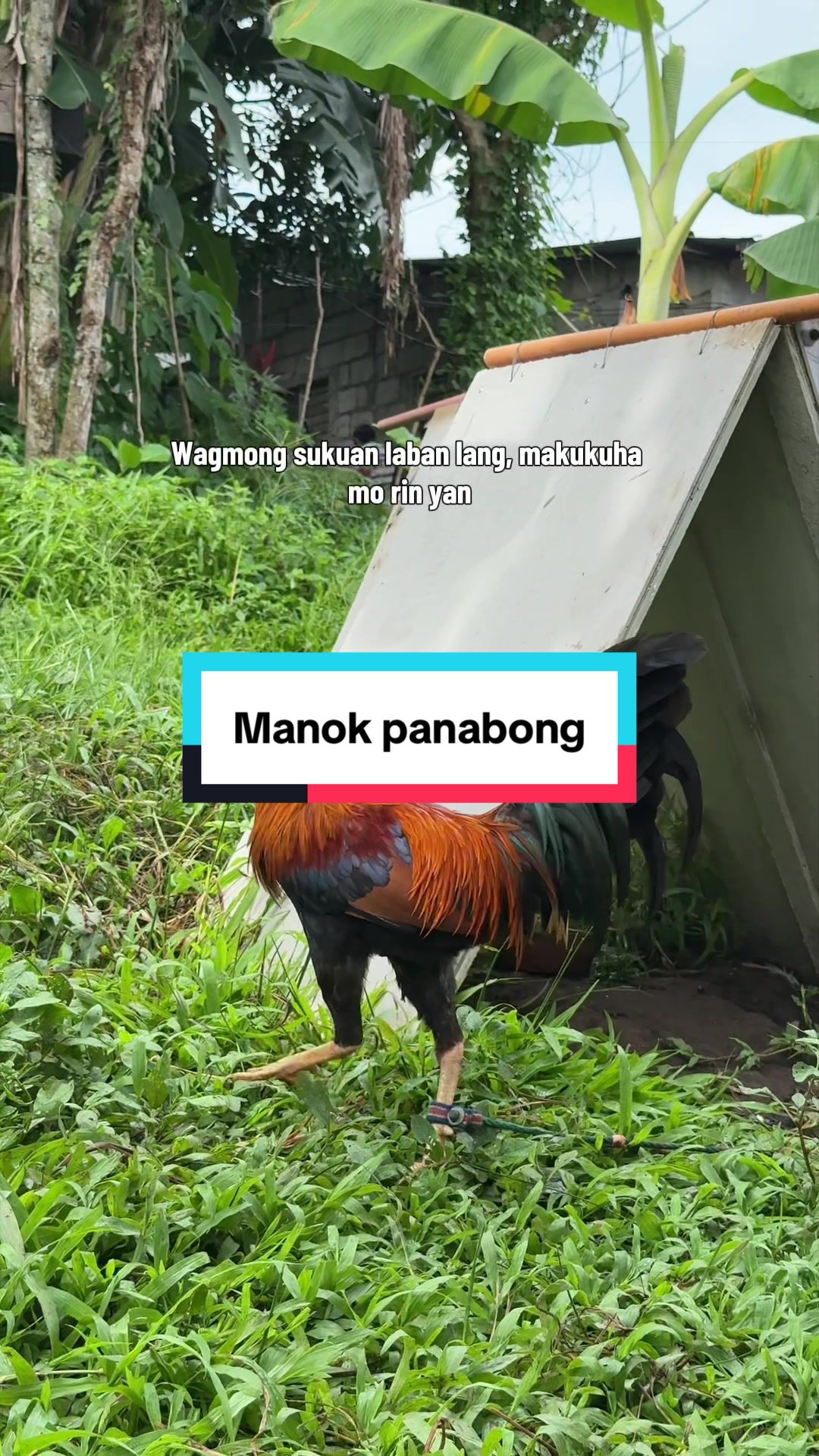 @Boss Darrel