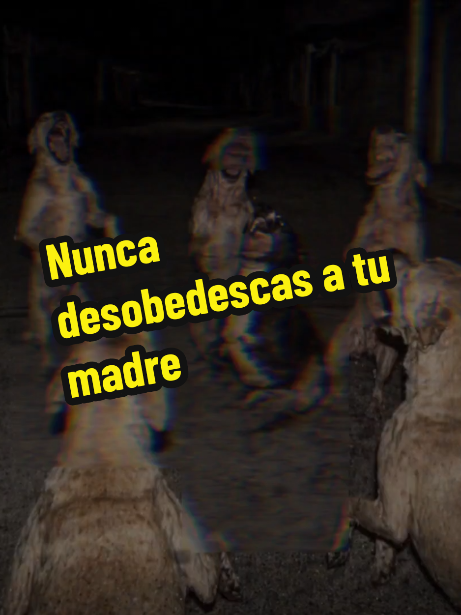 @El diario de coraje
