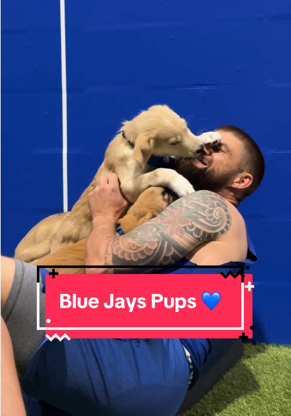 @Toronto Blue Jays