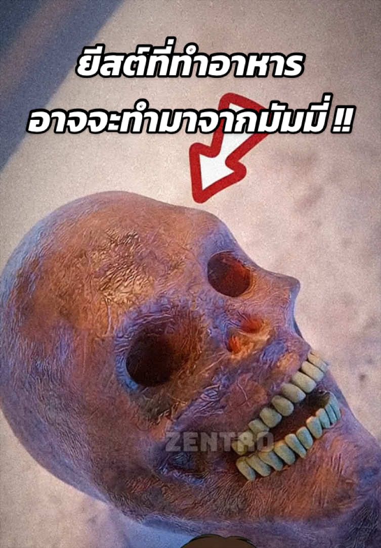@Zentro