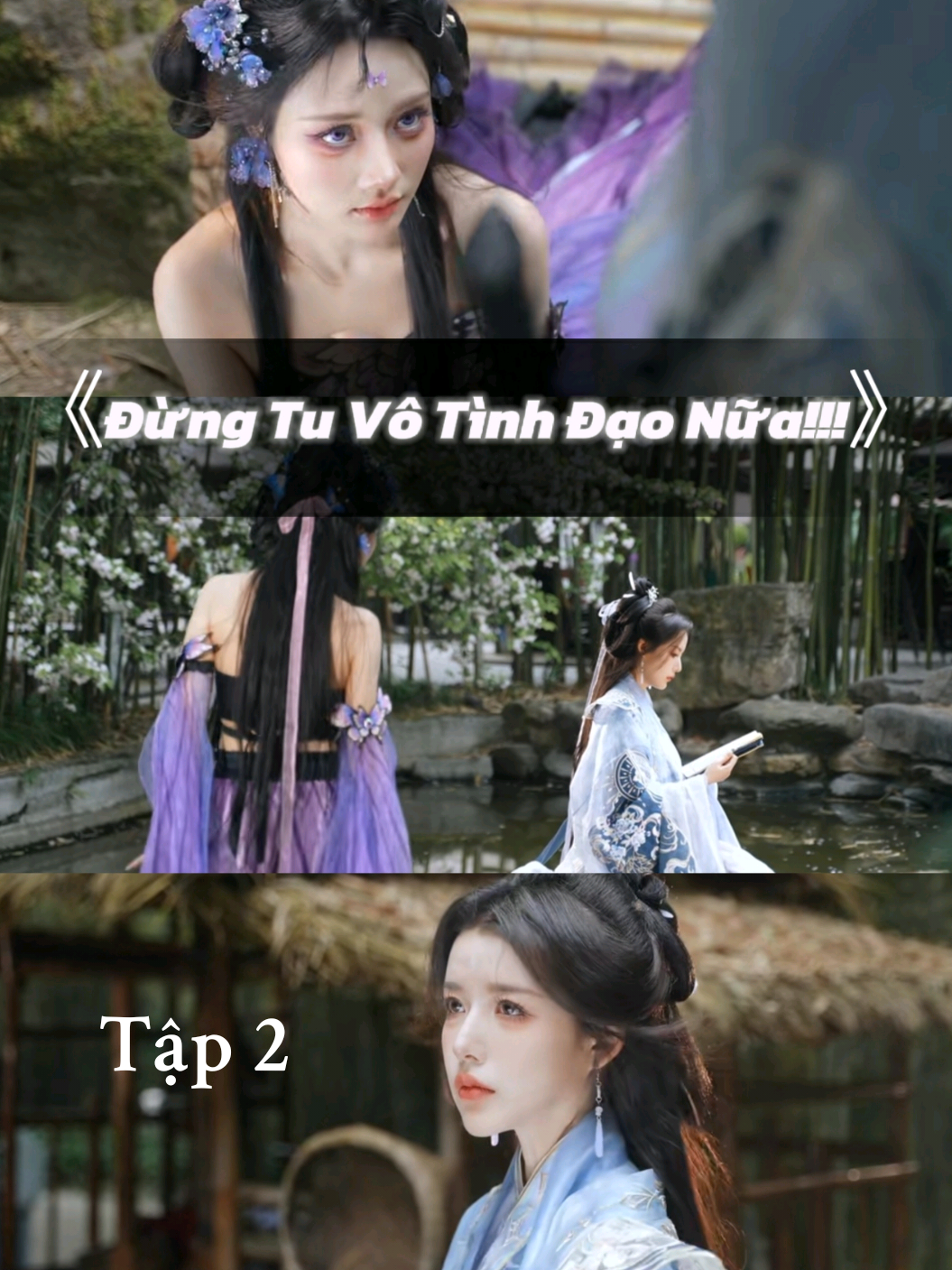 @Tiểu Hồ Ly - 小狐狸