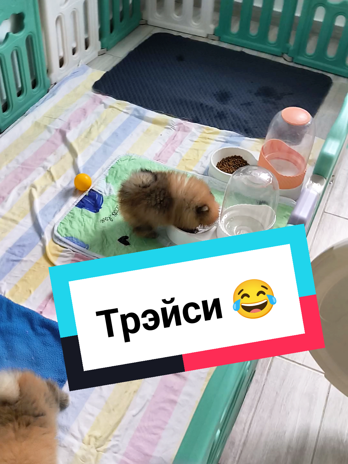 @Veronika Tkachuk