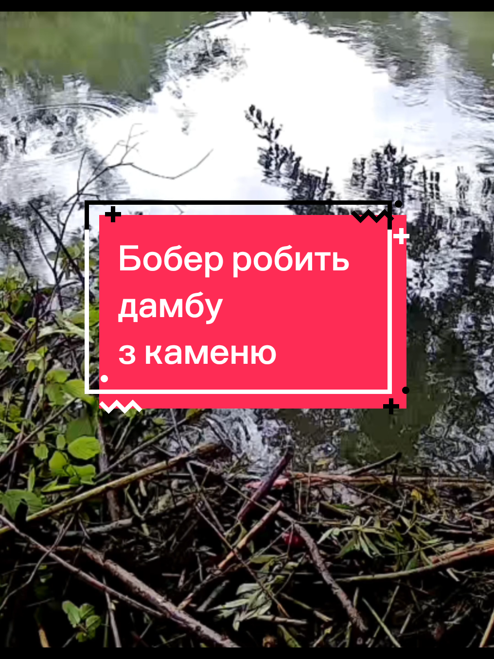 @Mevel