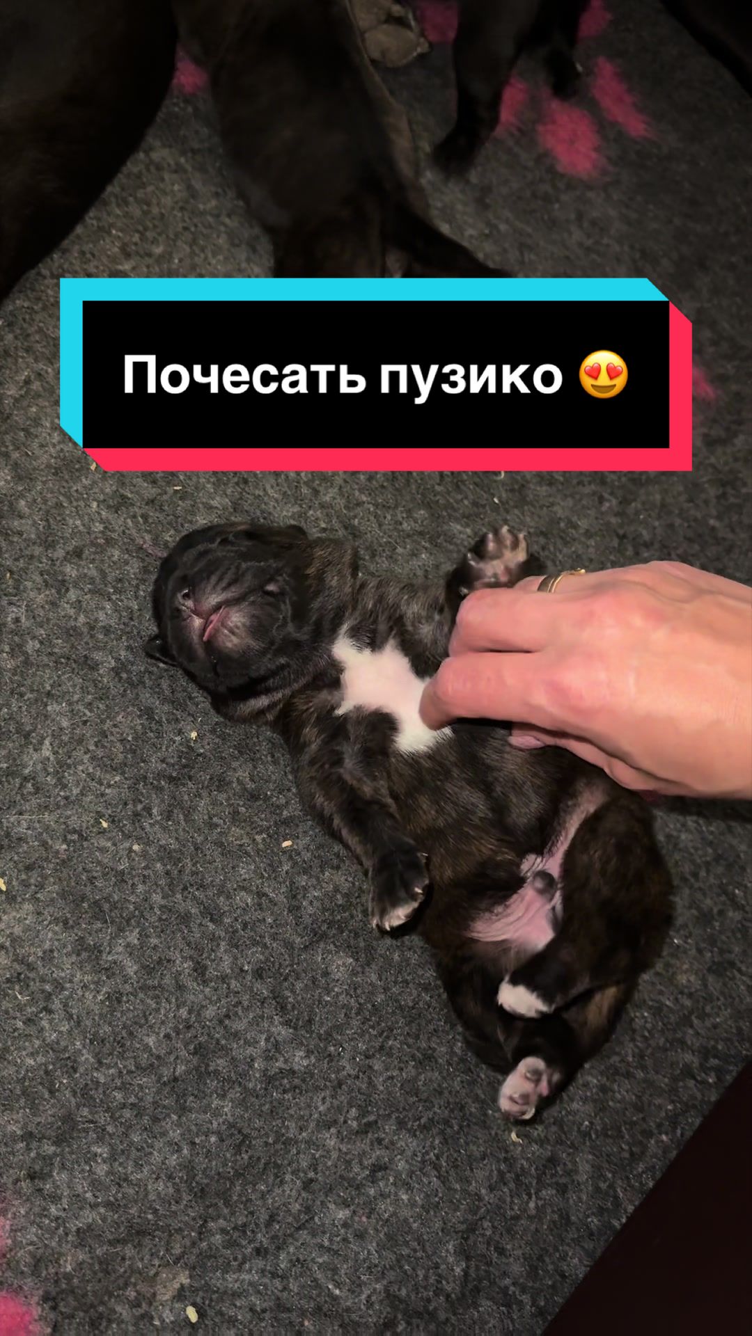@Infinity Glory 🇺🇦