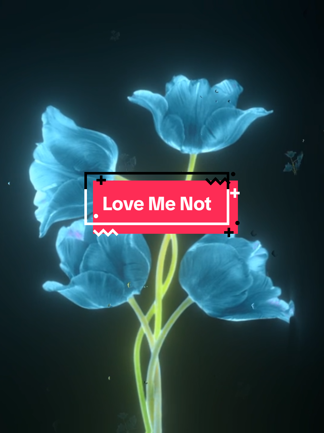 @Nisya Lyrics