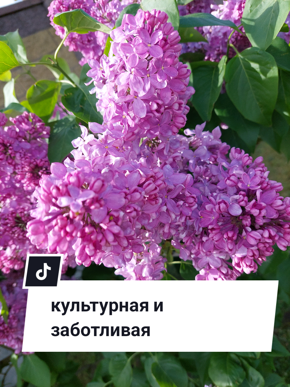 @Рыся✔️🇧🇾