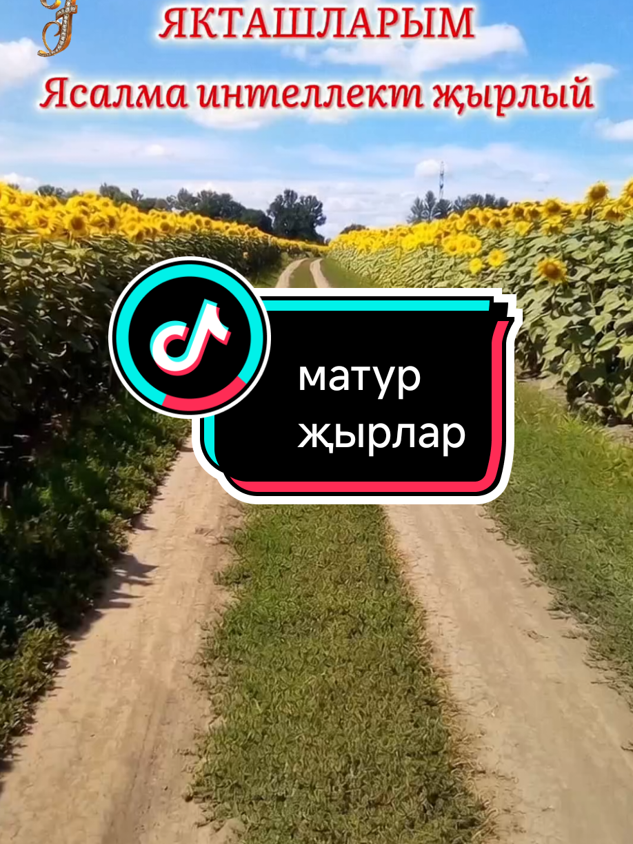 @💕☪татвидео открытки☪︎ 💕