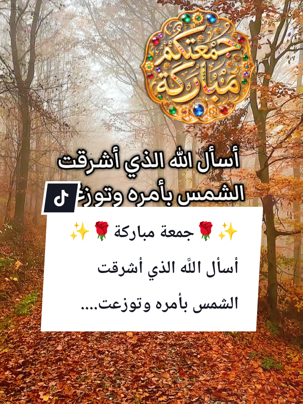 @🌟𝗦𝗼𝘂𝘇𝗮𝗻 𝗖𝗵𝗮𝗺𝘀