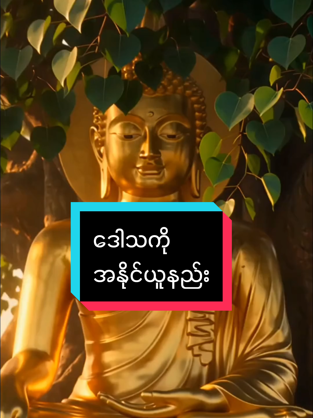 @DHAMMA