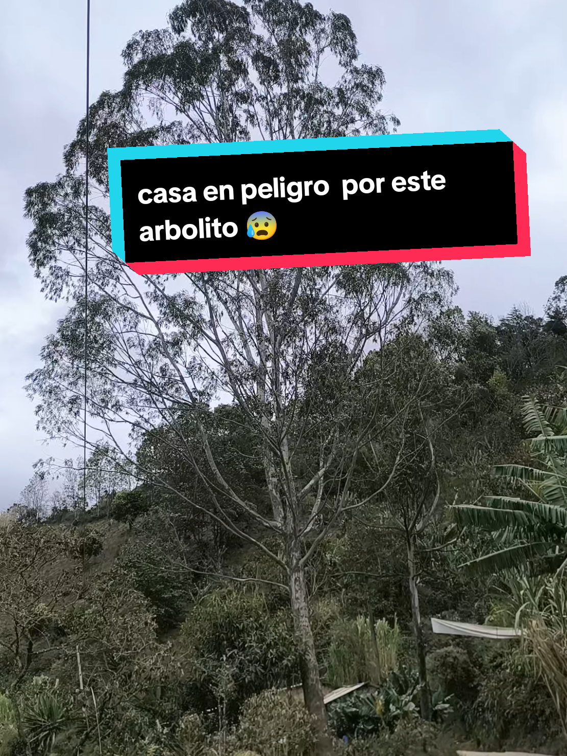 @🔥stefaniaRivera07⚖️