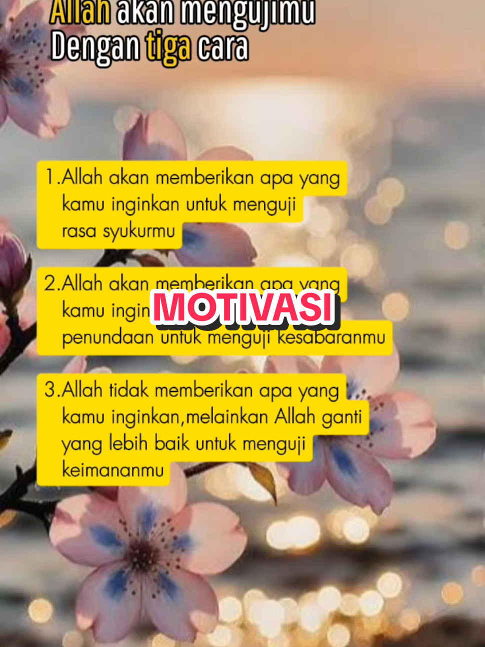 @mirazaidi