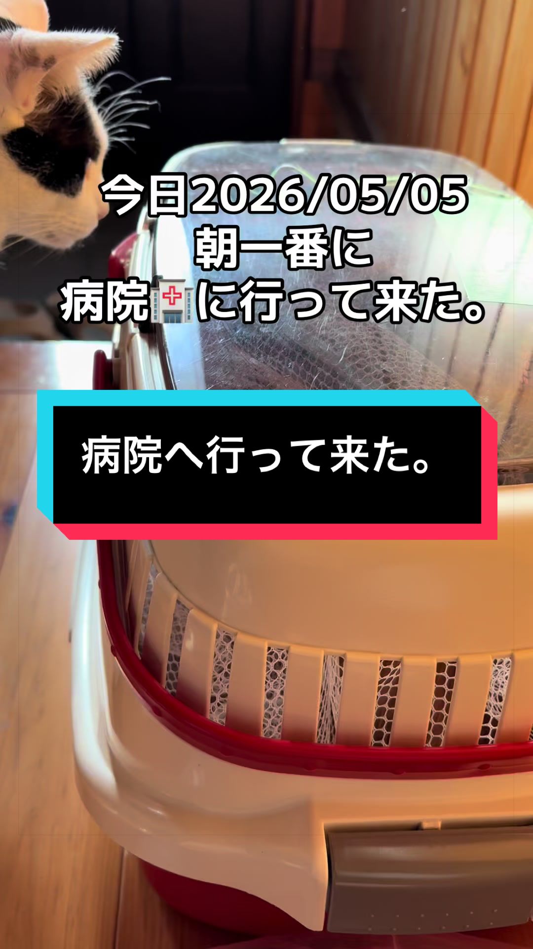 @ブルースカイの倫
