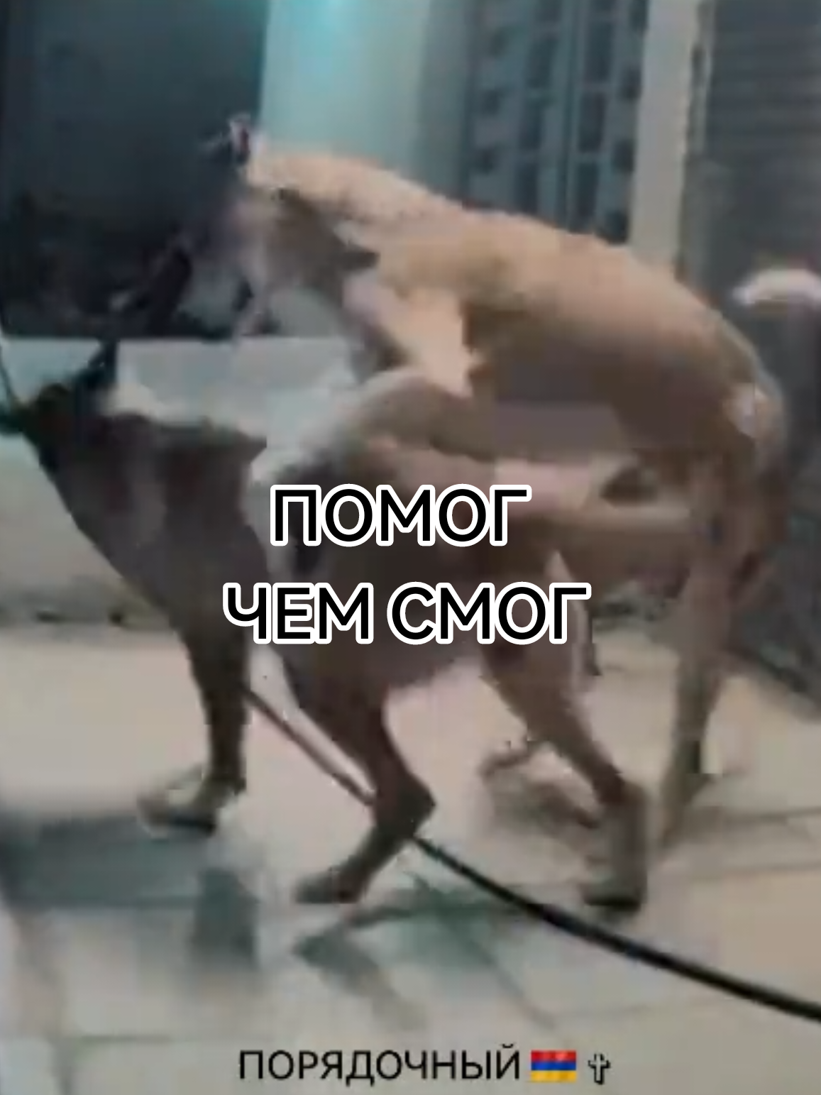 @ПОРЯДОЧНЫЙ 🇦🇲 ✞