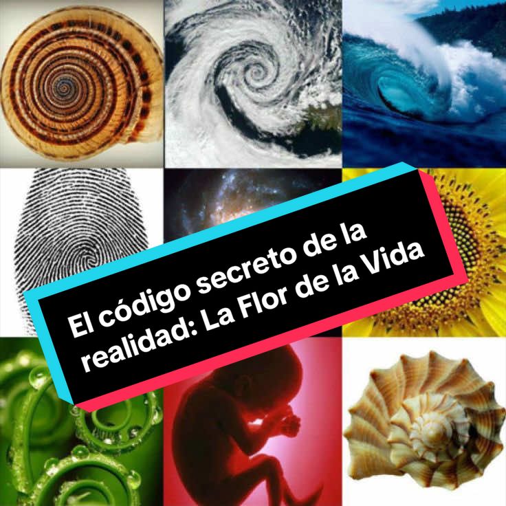 @Fidel desvelado