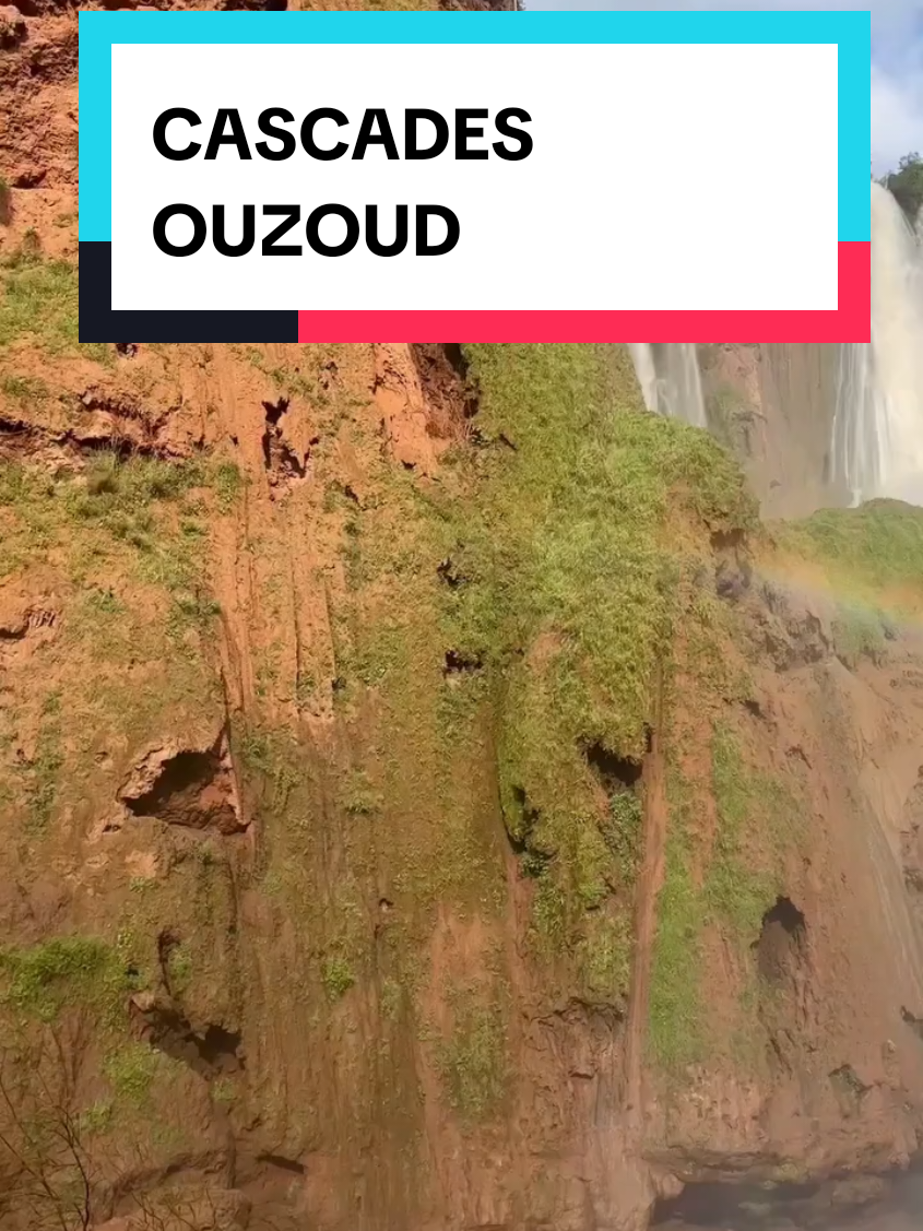 @ElMarocain
