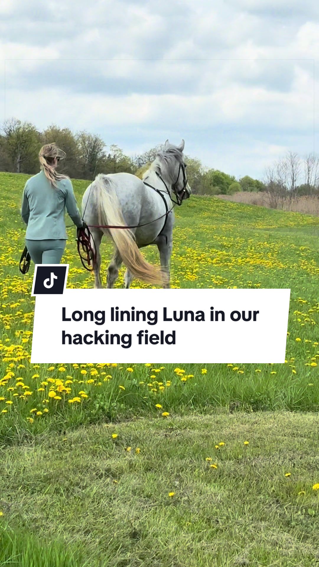 @Karin - Empower Equine app