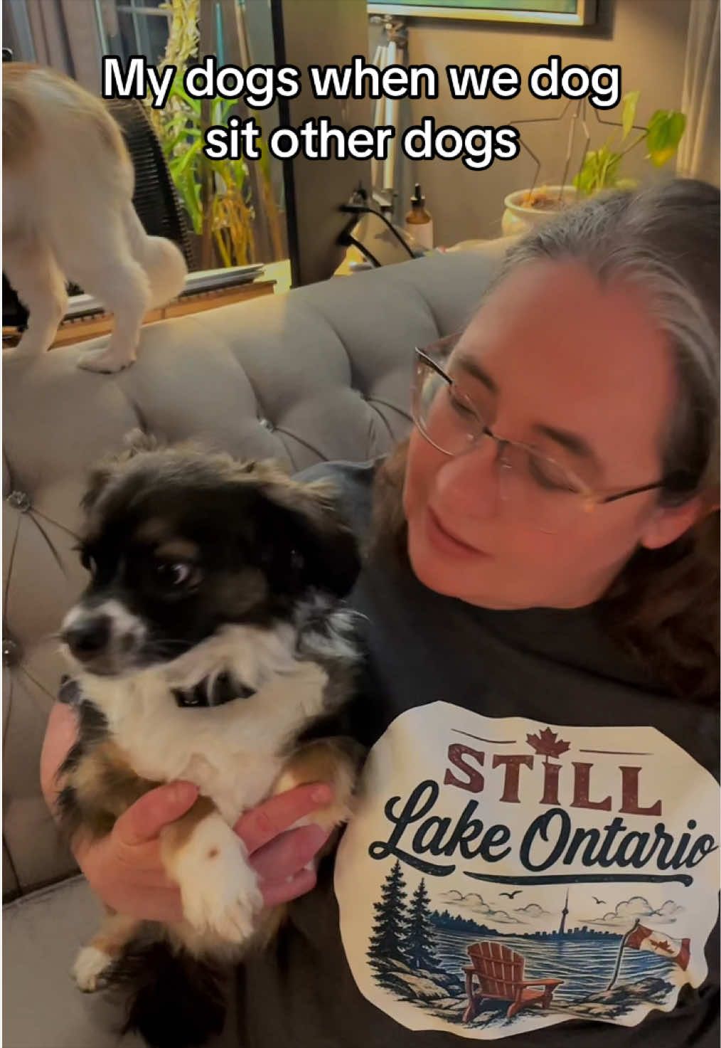 @Elyse with the Dogs 🇨🇦