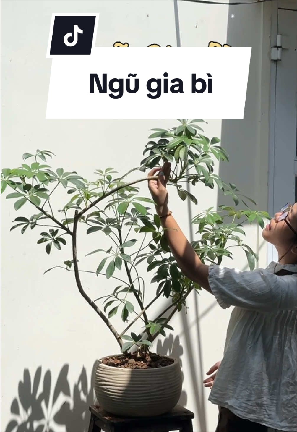 @Vuoncuakien