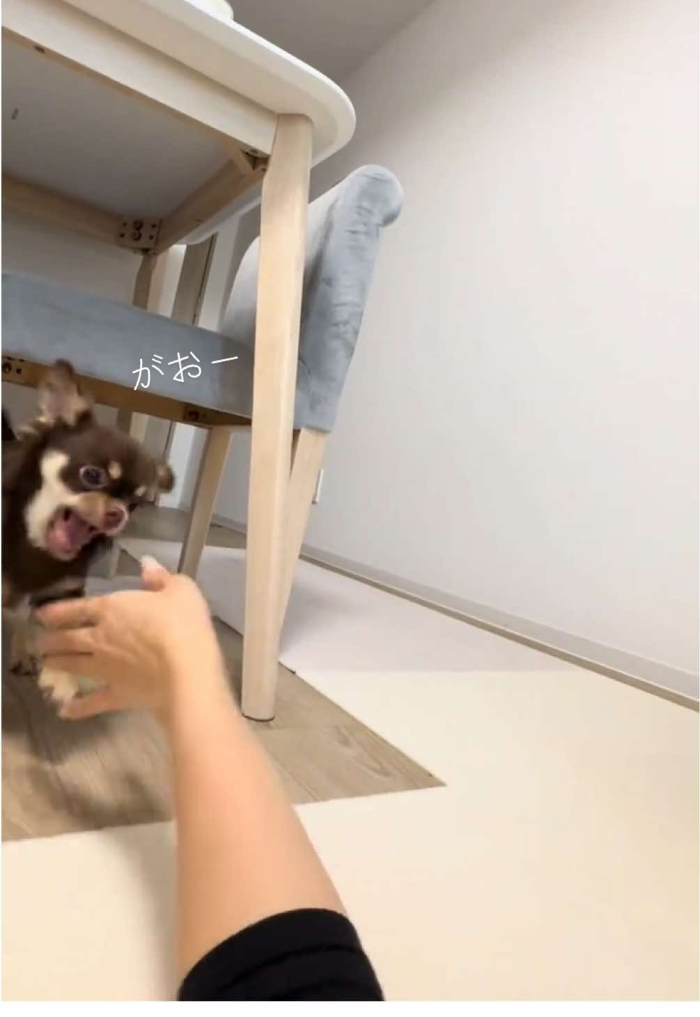 @ใใฃใฑ๐ถ