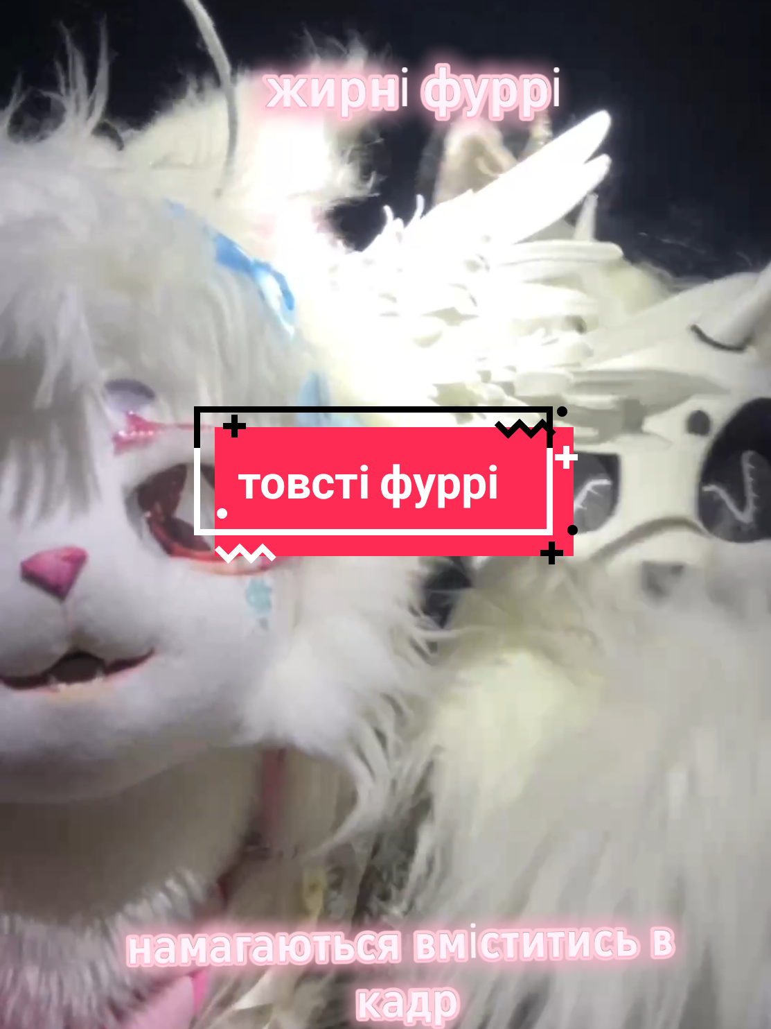 @༒༺Асія_Murrкевич༻༒ ִֶָ𓁿⋆