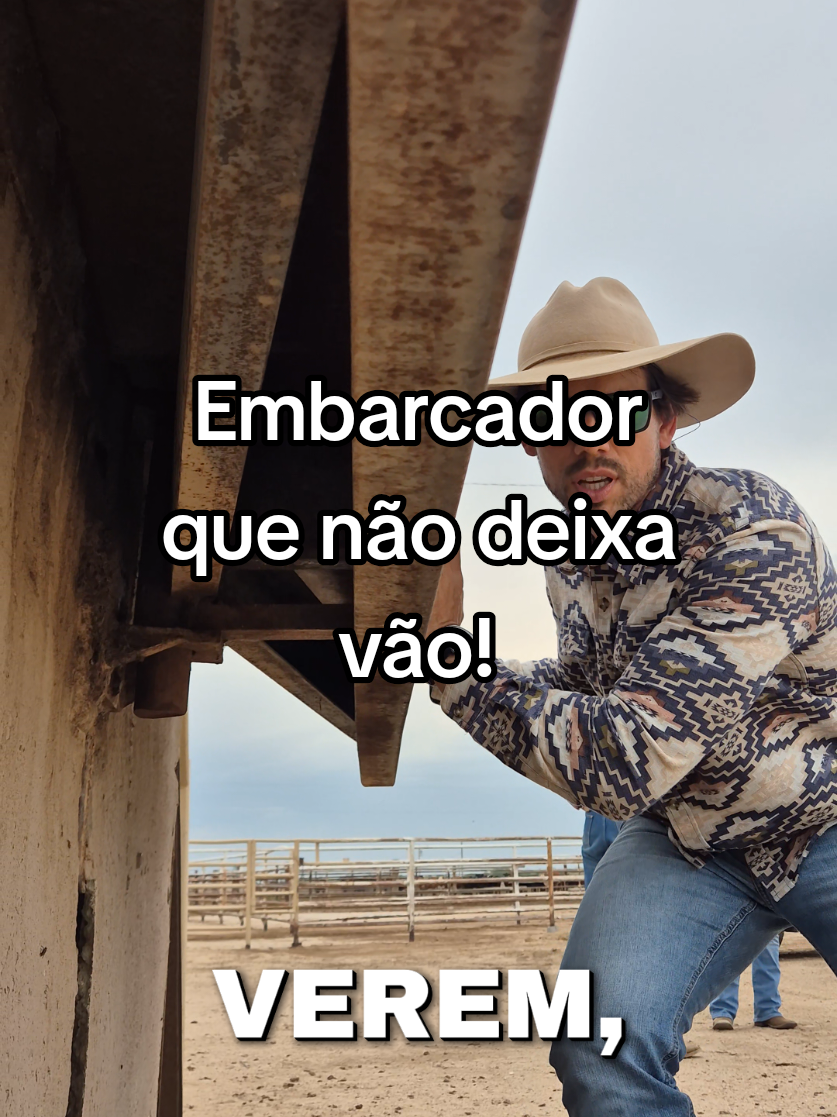 @Olavo Franco Bottino