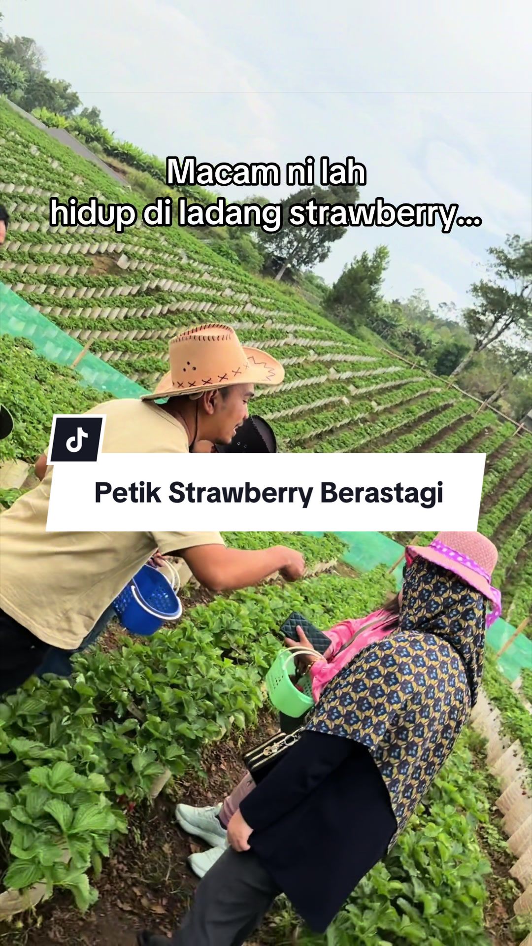 @🅂🅄🄽🄰🄷 ❀