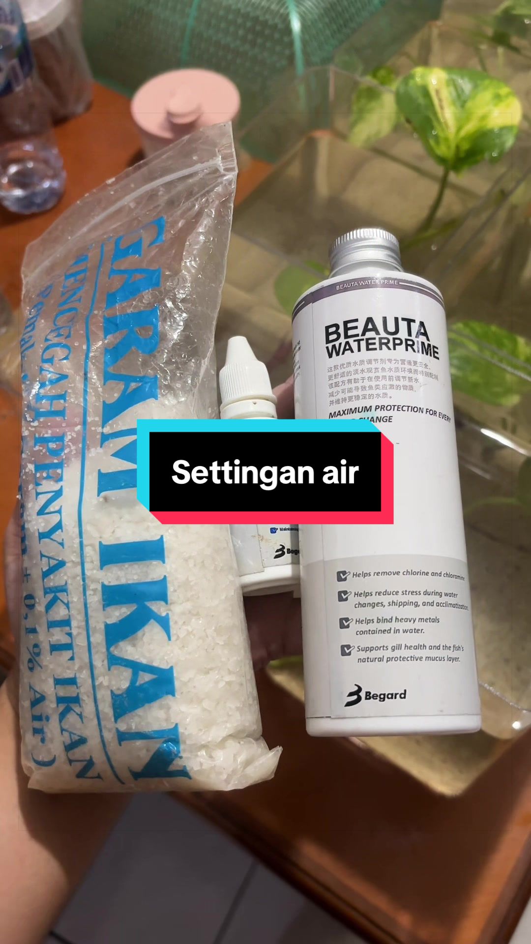 @bayu