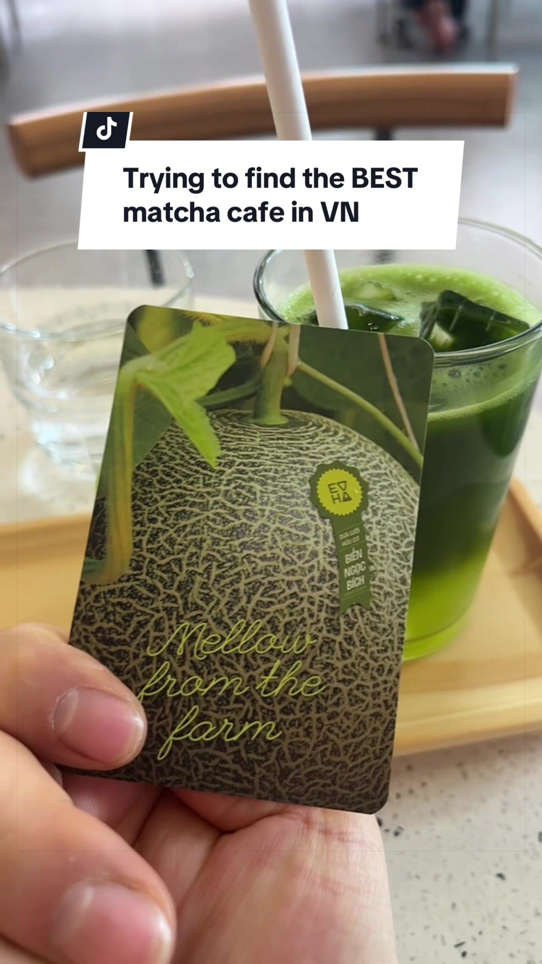 @Leo - Matcha Sensei