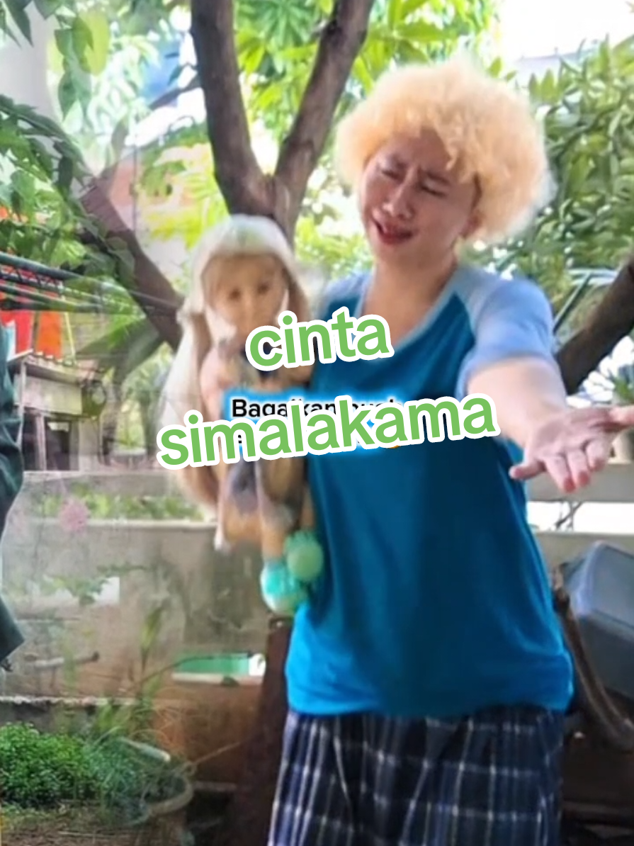 @Sulastin💚gingsol