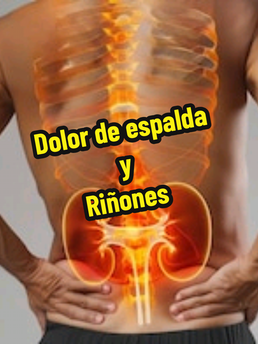 @Dr. Irwing Nefr&oacute;logo-Pediatra