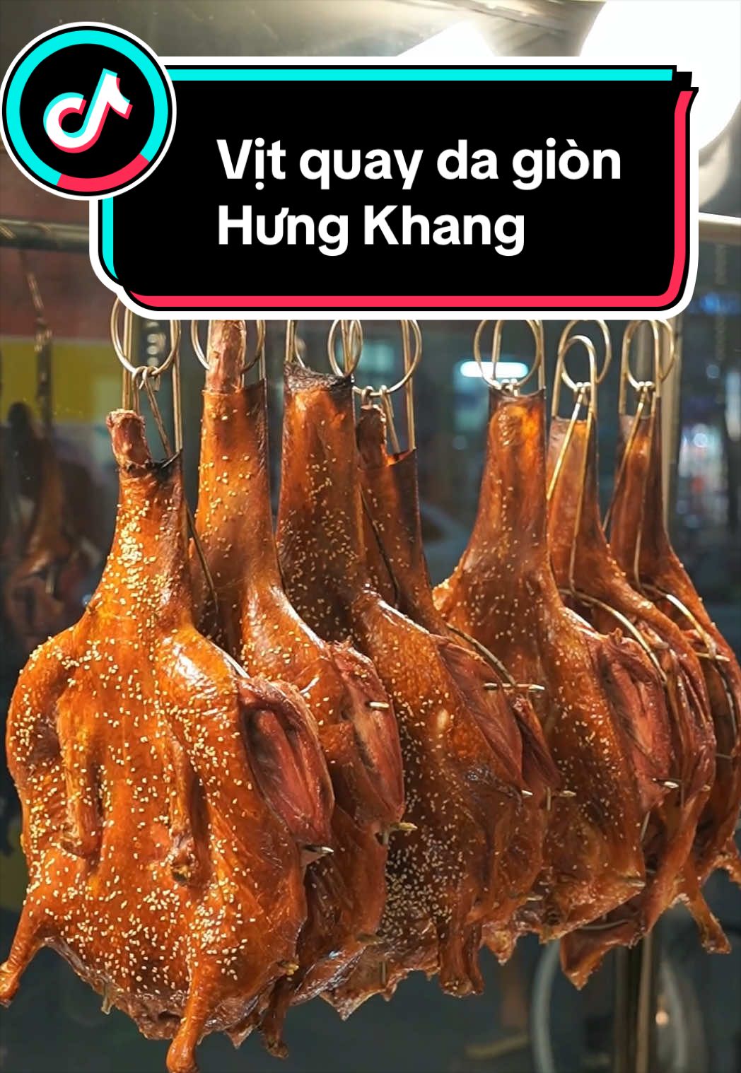 @Cô Gái Nam Định