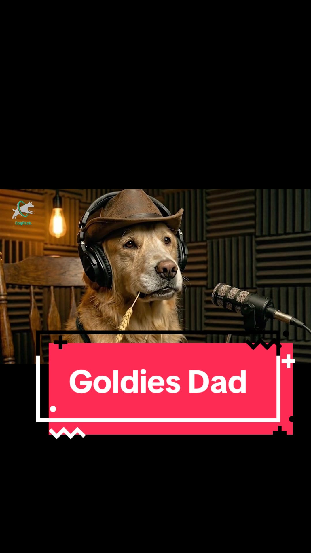 @DogPack