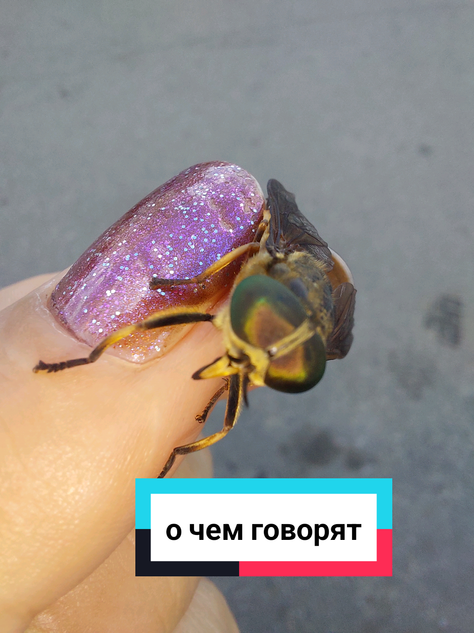 @Рыся✔️🇧🇾