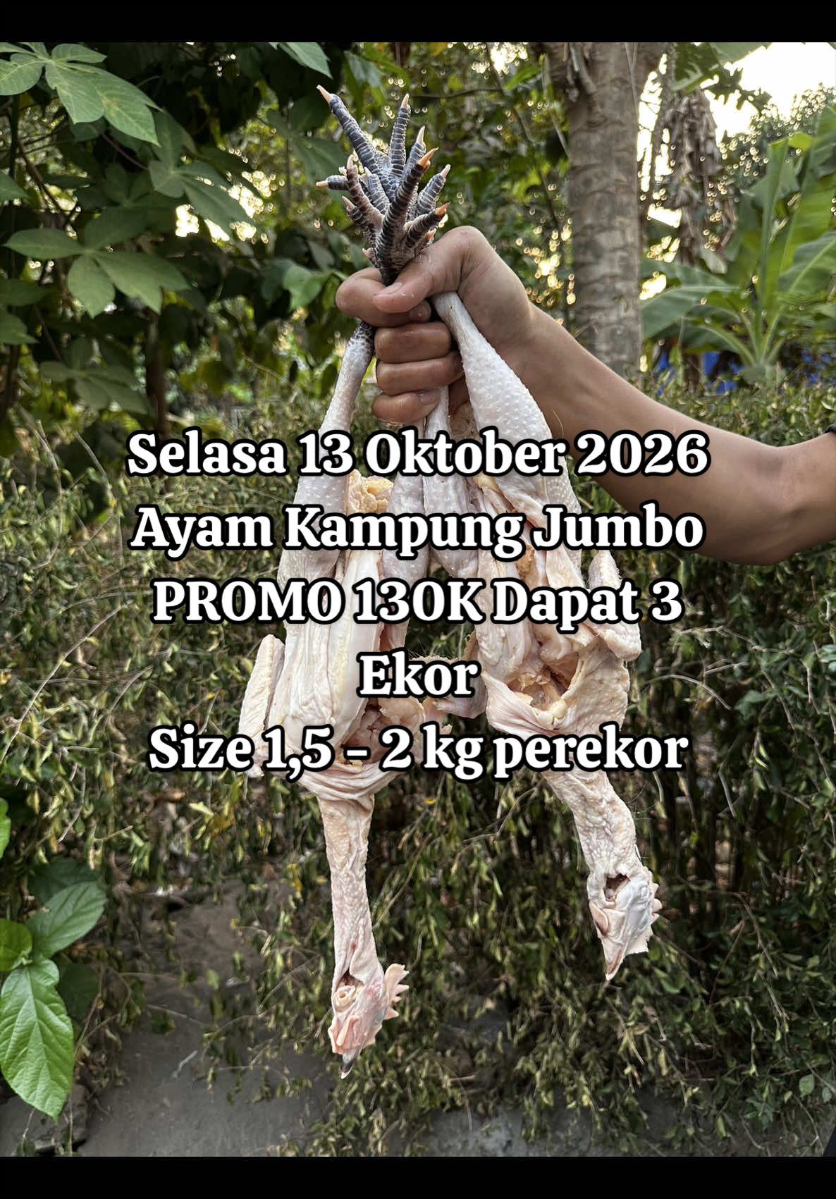 @pesekseafood